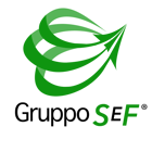 Gruppo SEF S.r.l.